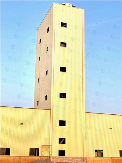 100 tòn detèjan poud plant